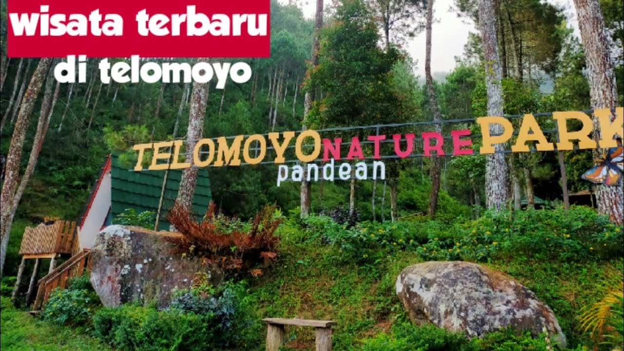 Telomoyo Nature Park: Menjelajahi Keindahan Alam Jawa Tengah